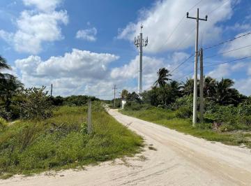 Terreno / Lote · 240m² · Terreno Residencial en Venta en Pueblo Chuburna Puerto