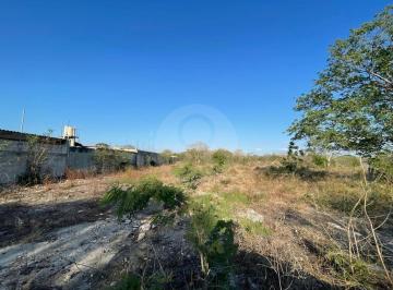 Terreno / Lote · 4970m² · Venta de Gran Terreno Rumbo a Progreso Ideal Para Desarrollo Inmobiliario