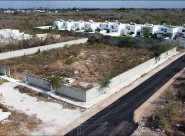 Terreno / Lote · 240m² · Terreno Residencial en Venta en Pueblo Dzitya