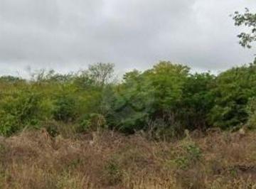 Terreno / Lote · 2166m² · Terreno Residencial en Venta en Pueblo Dzitya