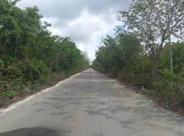 Terreno / Lote · 900000ha · Terreno - Benito Juárez