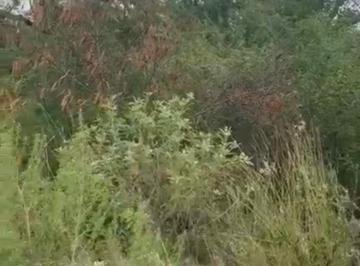 Terreno / Lote , Monterrey · Terreno en Venta Cumbres Elite Premier, Sector Everest, Zona Cumbres