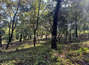 Terreno / Lote , Valle de Bravo · Terreno a Unos Minutos del Centro de Avándaro