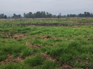 Terreno / Lote , Xochimilco · Terreno en Xochimilco Centrico Uso Habitacional