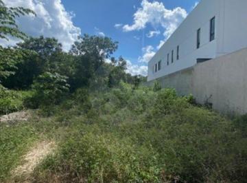 Captura de pantalla 2026-05-11 184717_cleanup.png · Terreno Residencial en Venta en Pueblo Tamanche