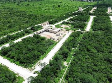 Terreno / Lote · 385m² · Terreno Residencial en Venta en Pueblo San Ignacio