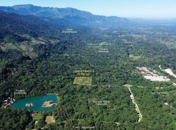 89ce5cf63275e05b6e51ea1c1de958be1b5827cced9088d0a21862c1024bcaf3 · Terreno Hotelero Comercial Palenque, Chiapas Id3181