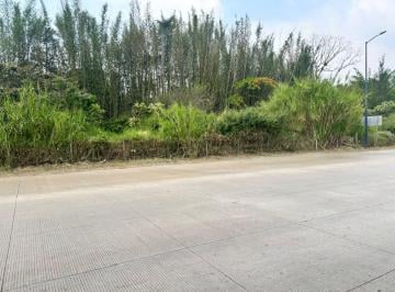Terreno / Lote · Terreno - Central de Abastos