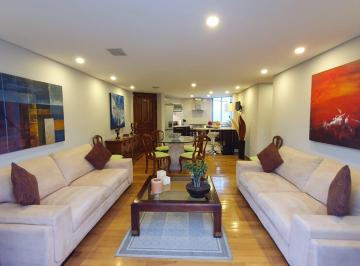 Departamento de 1 habitación, Benito Juárez · Hermoso PH en San Jose Insurgentes