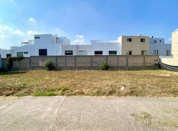 Terreno / Lote · 130m² · Terreno en Venta en Madeiras, Capital Norte