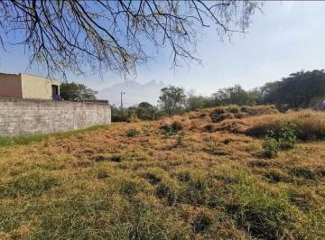 Terreno / Lote , Monterrey · Renta Terreno de 2,500 m² en La Zona de La Col - Roma y Jardines de Roma