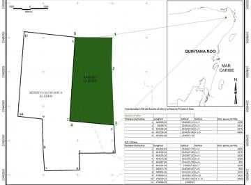 Terreno / Lote , Puerto Morelos · Venta Espectacular Terreno en Leona Vicario, Quintana Roo