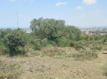 Terreno / Lote en Venta  Ampliacion Olmos · Terreno Rustico de Oportunidad