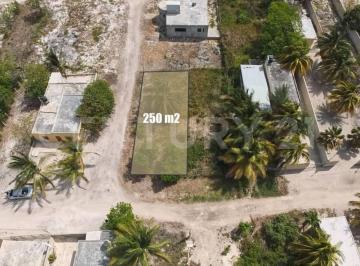 Terreno / Lote · 250m² · Terreno en Venta en Celestún, Yucatán