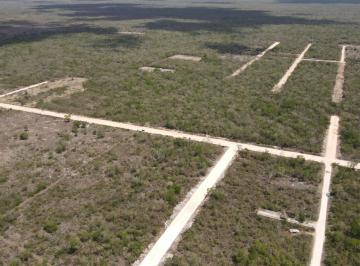 Vista aérea de la propiedad · Últimos 2 Terrenos en Ucú, Yucatán