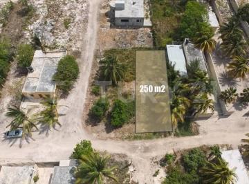 Terreno / Lote · 250m² · Terreno en Venta en Celestún, Yucatán