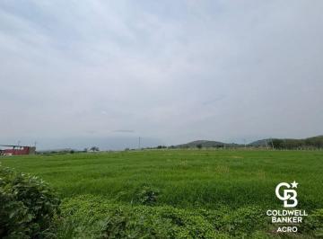 Terreno / Lote , Montemorelos · Terreno en Venta, Colonia Montemorelos, Nuevo León