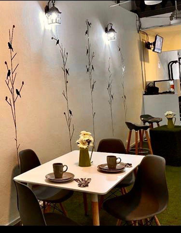Preciosa Suite Estilo Europeo