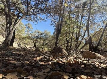 Terreno / Lote · 862m² · Ha en Venta en Sierra de Laurel