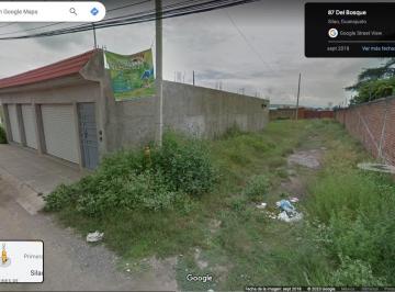 Terreno / Lote , Silao · Terreno Apto Para Construir