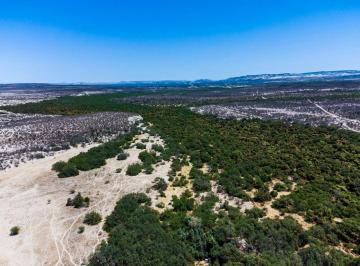 da7019875bcc4e5b083c2e33045bd1859372ab8b07559921ac72c414f34cb06c · Rancho Productivo con 1011 Has y Bancos de Piedra en Venta – Las Pocitas, Bcs