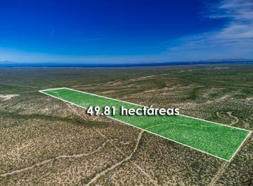 4581ba881bb39531b526a5b4cbccce8cc7700057562464fe48a2ff44ef83e452 · Terreno Sobre Carretera La Paz