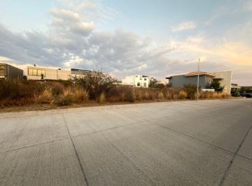 Terreno / Lote , León · Venta de Terreno en El Molino Condominio XII