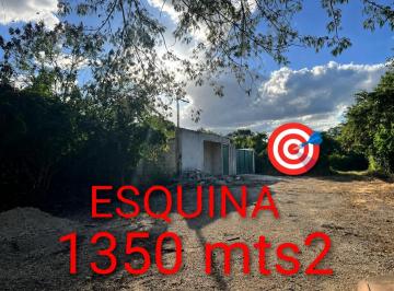 Terreno / Lote , Mérida · Esquina 1350 m² Junto a La Rejoyada Norte de Merida Para Gente con Vision