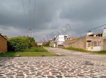 N/A · Terreno Bardeado en Tlayacapan, Morelos.