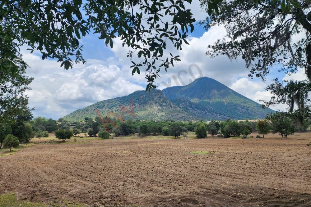 Unique Opportunity: Sale of a Spectacular 14.25-Hectare Agricultural Plot in Santa Isabel Tepeza