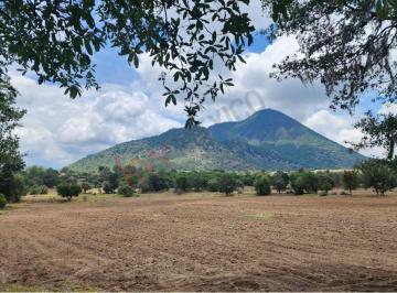 N/A · Oportunidad Única: Venta de Espectacular Terreno Agrícola de 14 Hectáreas 1/4 en Santa Isabel Tepeza