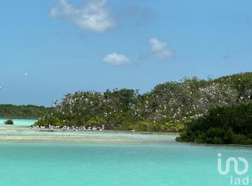 Terreno / Lote · 150000m² · Tu Terreno en El Corazon del Caribe Mexicano: Bacalar!