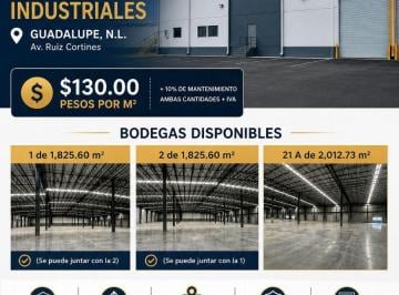 Nave industrial , Guadalupe · Nave Industrial en Renta en Av Ruiz Cortinez, Guadalupe