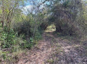 Terreno / Lote , Champotón · Terreno Agrícola Ganadero de 293 Hectáreas Venta en Champotón Campeche.