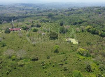 Rancho · 416000ha · Rancho en Venta en Tepetzintla