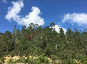 N/A · Terreno en Venta en Los Lirios, Arteaga, Coahuila de Zaragoza
