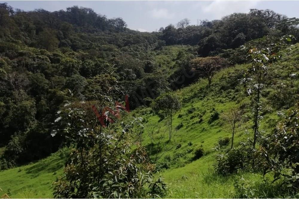 40 Ha en Venta, Rancho Solo Dios en San Fernando, Chiapas, Cercano a Colonia Gabriel Esquinca