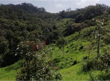 N/A · 40 Ha en Venta, Rancho "Solo Dios" en San Fernando, Chiapas, Cercano a Colonia Gabriel Esquinca