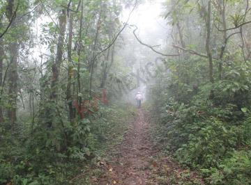 N/A · 50 Hectáreas en Venta. Rancho en San Fernándo, Chiapas