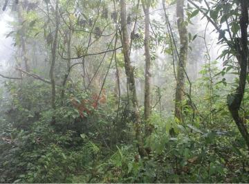 N/A · 20 Ha en Venta, Rancho "Solo Dios" en San Fernando, Chiapas, Cercano a Colonia Gabriel Esquinca