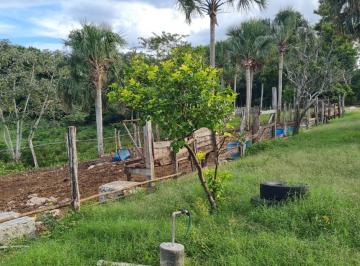 Rancho · 450000ha · Venta Rancho en Tizimin Merida de 45 Ha.