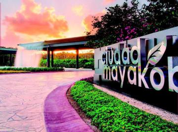 Local comercial · Well Medic, Mayakoba, Locales Comerciales