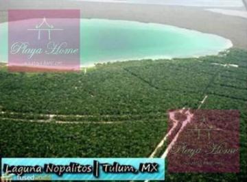 Terreno / Lote · 2500m² · Reventa! Lote 1470 Venta en Laguna de Nopalitos