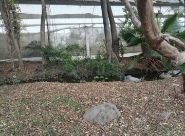 Terreno / Lote , Cuautla · Terreno de 200 m² en Venta en El Mirador, Cuautla, Muy Cerca del Asoleadero