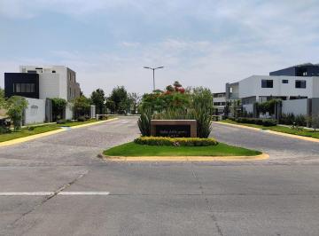 d683747266f27a6834b2e501cf62dd93e94e902854ad800951d61cb7d44808a2 · Terreno en Valle Imperial Coto Imperio Galo
