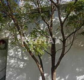 Departamento · 200m² · 1 Recámara · 2 Estacionamientos · Loft en Venta - (4)