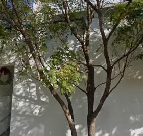 Departamento · 200m² · 1 Recámara · 2 Estacionamientos · Loft en Venta - (4)