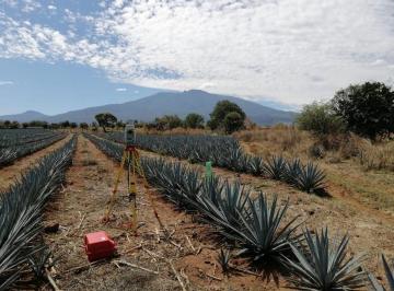 522befe66154cfe94c4ae835b52be636e8cf5d6e482618f9acc67ff01ad7f385 · Comercial Terreno en Venta en Tequila Jalisco, Villa Volcán Tequila.