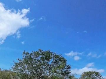 Terreno / Lote , Chicxulub Pueblo · Venta de Terreno