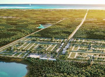 Terreno / Lote · 200m² · Terrenos Residenciales y Comerciales en Venta en Puerto Morelos